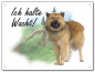 Preview: Ich halte Wacht! Chow Chow